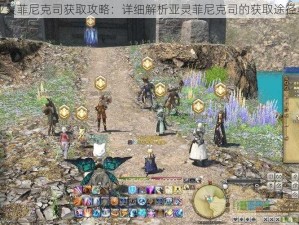 FF14亚灵菲尼克司获取攻略：详细解析亚灵菲尼克司的获取途径与条件