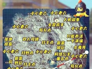 《绝地求生刺激战场雪地地图深度解析：细节观察与看点一览》