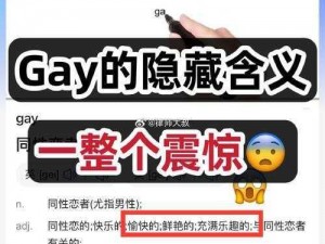 直男GAy和男司机Gay-直男和男司机有什么共同点？