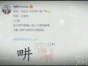 刘畊宏名字中畊字的正确读音及其相关解读探讨：一场关于文化与语言的探索之旅