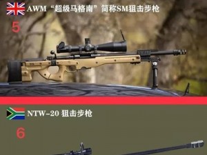 穿越火线中的精准射击之选：揭秘M82A1与巴雷特狙击步枪的差异与特点