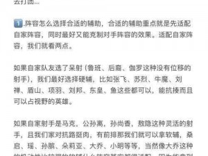 魂武者连招攻略：深入解析辅助设置的关键作用与实战应用