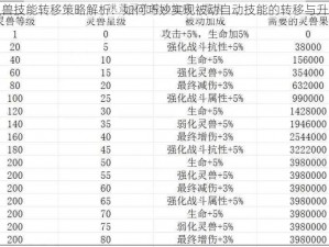 灵兽技能转移策略解析：如何巧妙实现被动自动技能的转移与升级