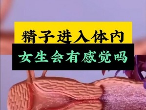 精子在女性体内好吗、精子在女性体内有什么影响？