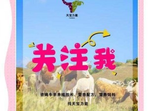 养牛达人专属邀请码揭秘：探寻最新数字与独特标识符号的新旅程