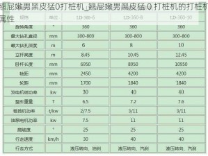 翘屁嫩男黑皮猛0打桩机_翘屁嫩男黑皮猛 0 打桩机的打桩机属性