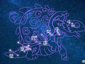 妄想山海玄武星宿篇：探索攻略，解锁无限玩法，掌握星宿之力