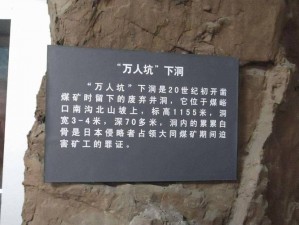 东北大坑原始欲爱—东北大坑：原始欲爱的秘密之地