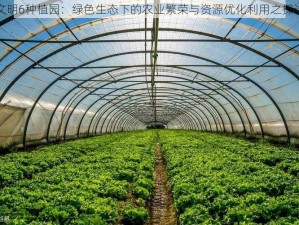 文明6种植园：绿色生态下的农业繁荣与资源优化利用之探讨