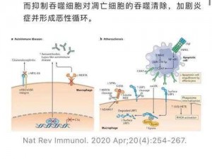 死亡细胞坏种路径探究：疾病演变与防治策略新视角