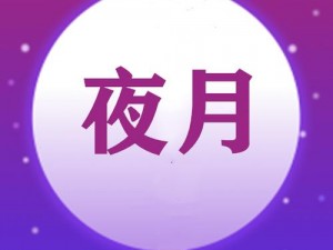 介绍怎么下载夜月