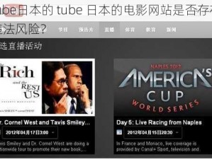 tube日本的 tube 日本的电影网站是否存在违法风险？