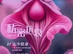 女性发 77777 是什么意思？探究其背后的神秘含义