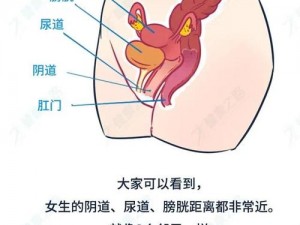 车上高潮了太爽了受不了尿了【车震中，她达到了高潮，忍不住尿了出来】