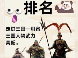 胡蜀风云：三国蜀国武将组合的快速制胜策略