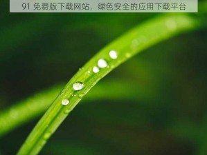 91 免费版下载网站，绿色安全的应用下载平台