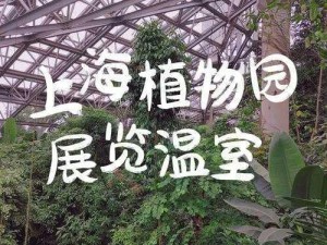 珊瑚岛的冬季温室种植：探索绿色生态与适宜气候条件下的植物育种新篇章