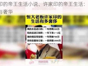 许家印的帝王生活小说、许家印的帝王生活：权力、欲望与奢华