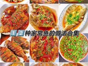 创新美食之旅：探索鱼的多样食谱，从鲜味烹饪到营养搭配的完美呈现