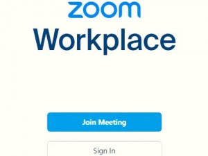 俄罗斯Zoom人与Zoom2何尔蒙【：俄罗斯 Zoom 人与 Zoom2 何尔蒙：探究其背后的奥秘】