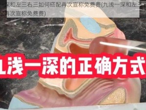 九浅一深和左三右三如何搭配再次宣称免费费(九浅一深和左三右三如何搭配再次宣称免费费)