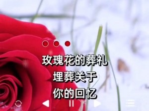 抖音葬爱家族专属BGM揭秘：探寻葬爱系列音乐旋律之韵，最燃曲目盘点揭晓