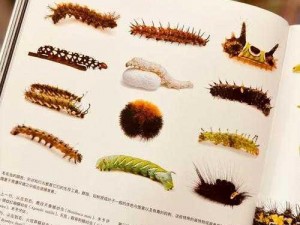 荒无人烟全动物图鉴攻略宝典：探索未知生物世界，解锁全新动物知识之旅