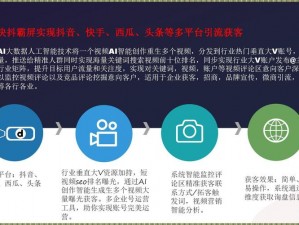 seo短视频网页入口引流(如何通过 seo 短视频网页入口进行引流)