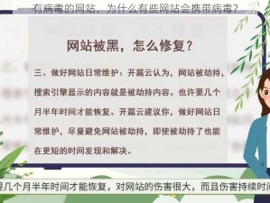 有病毒的网站、为什么有些网站会携带病毒？