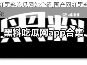 国产网红黑料吃瓜网站介绍,国产网红黑料吃瓜网站大揭秘