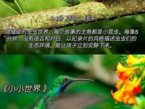 夏娃年代记中的捕捉图鉴：揭示神秘生物与史前文明的隐秘面纱