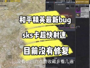 绝地求生刺激战场卡秘籍分享：实用BUG教程指南教你如何掌握无敌射速秘籍教学