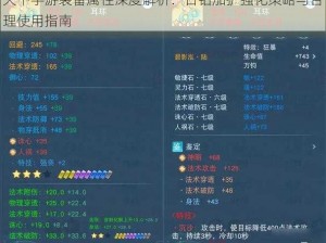 天下手游装备属性深度解析：日钻加护强化策略与合理使用指南