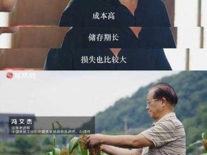 常志与雷文志：技艺较量，谁更胜一筹？——探寻背后的故事与成就