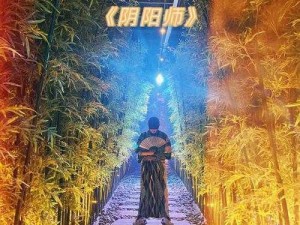 《探秘神秘阴阳师：灯笼鬼的踪迹何处多？》