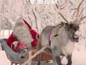 冰原守卫者驯鹿雪橇获取攻略：揭秘驯鹿雪橇获取途径与操作指南