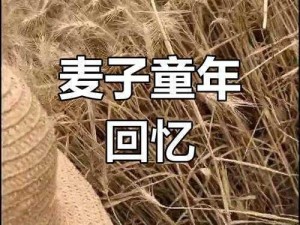 抵债的朋友麦子3的背景故事;麦子 3 抵债背后：神秘身份与纠葛往事