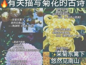 错一道题在菊花里放一支笔【如果做错题，就在菊花里放一支笔会怎样？】