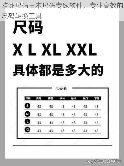 欧洲尺码日本尺码专线软件，专业高效的尺码转换工具