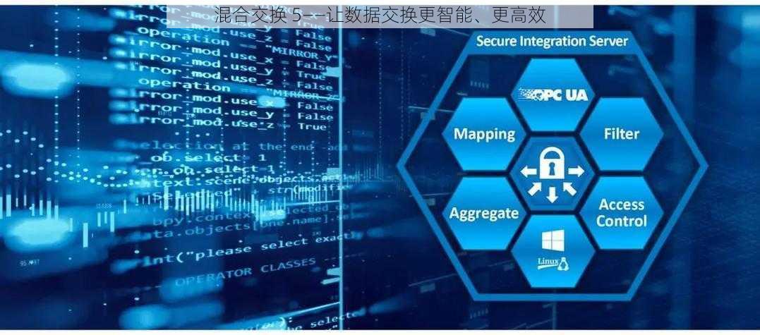 混合交换 5——让数据交换更智能、更高效