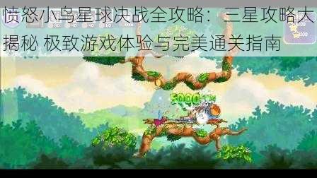 愤怒小鸟星球决战全攻略：三星攻略大揭秘 极致游戏体验与完美通关指南