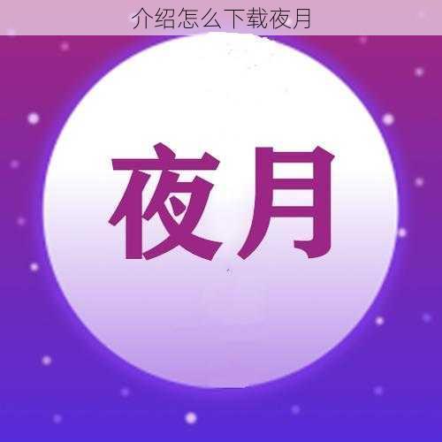 介绍怎么下载夜月