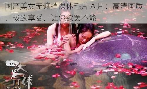 国产美女无遮挡裸体毛片 A 片：高清画质，极致享受，让你欲罢不能