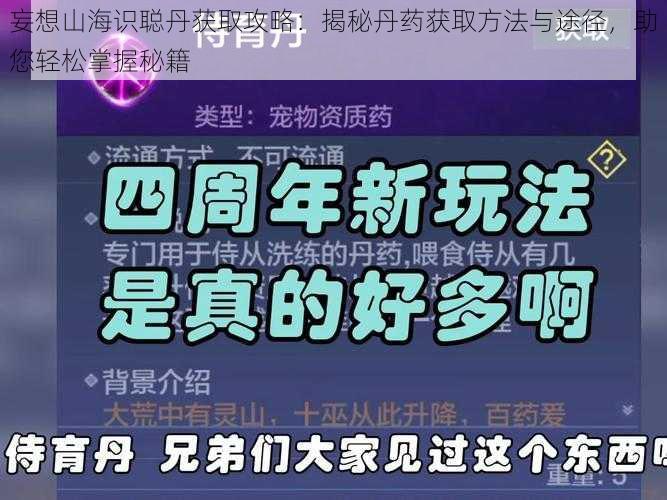 妄想山海识聪丹获取攻略：揭秘丹药获取方法与途径，助您轻松掌握秘籍