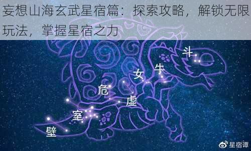 妄想山海玄武星宿篇：探索攻略，解锁无限玩法，掌握星宿之力