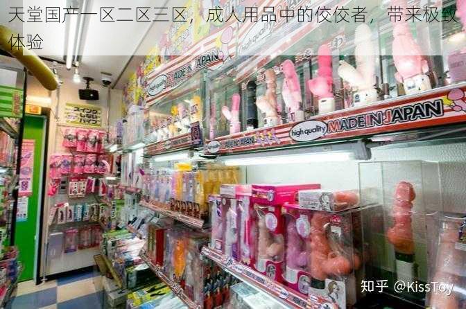 天堂国产一区二区三区，成人用品中的佼佼者，带来极致体验