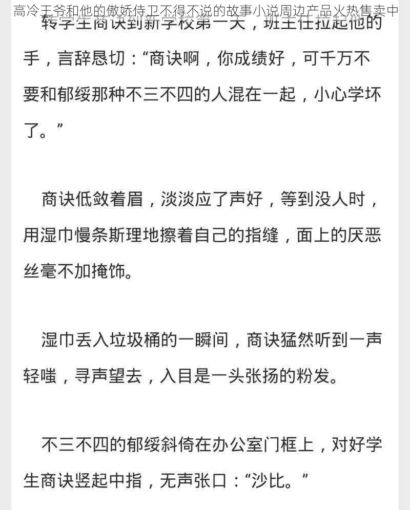 高冷王爷和他的傲娇侍卫不得不说的故事小说周边产品火热售卖中