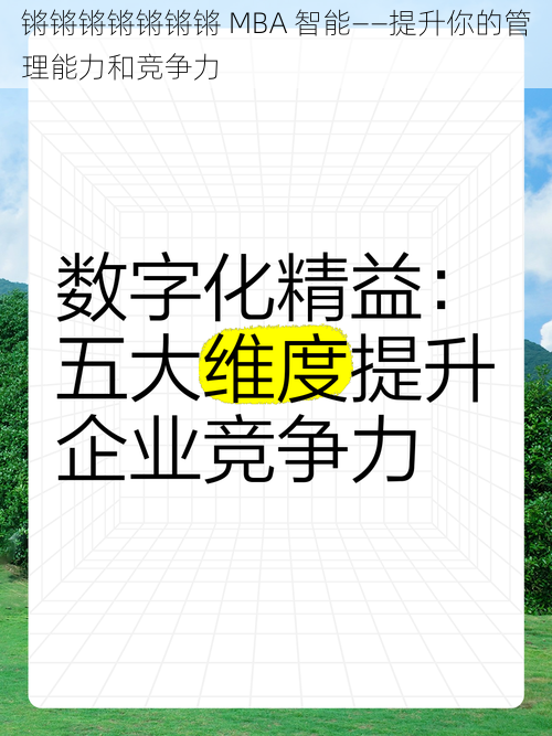 锵锵锵锵锵锵锵 MBA 智能——提升你的管理能力和竞争力