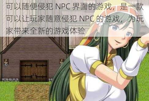 可以随便侵犯 NPC 界面的游戏，是一款可以让玩家随意侵犯 NPC 的游戏，为玩家带来全新的游戏体验