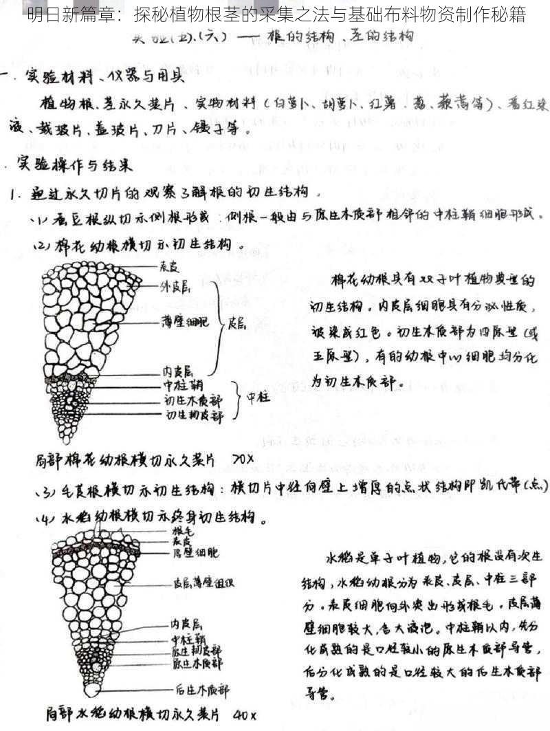 明日新篇章：探秘植物根茎的采集之法与基础布料物资制作秘籍